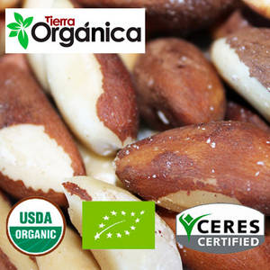 Wholesale antioxidant: Brazil Nuts