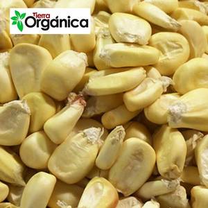 Wholesale promotion: Mountain Cancha Corn