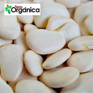 Wholesale Beans: Jumbo/Large Lima Beans