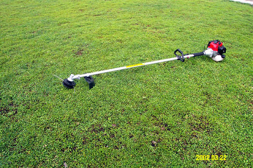 hand lawn trimmer