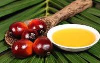 High Quality Refined Palm Oil / Palm Oil - Olein CP10 CP8 CP6 for Cooking and Frying