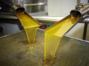 Wholesale additives: Olive Oil