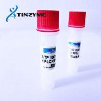 Sell dNTP Mix 2.5mM each