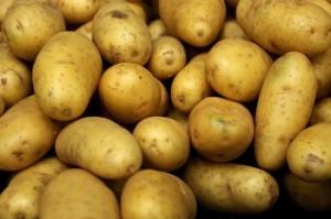 Wholesale fresh potatoes: Fresh Potatoes for Sale