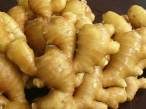 Wholesale type common: Wholesale Organic Fresh Ginger for Sale