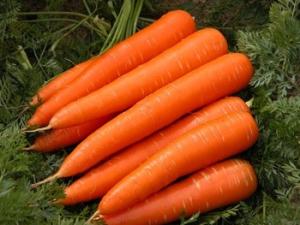 Wholesale green top: Fresh Red and Delicious Carrots