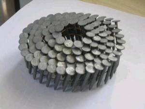 Wholesale galvanized coil nails: Coil Nail