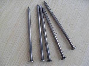 Wholesale common nail: Common Nail