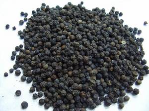 Wholesale pepper: Dried Black Pepper From Indonesia