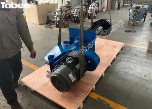 Wholesale rubber seeds: Tobee 65QV-SP Vertical Slurry Pump
