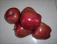 Sell Fresh Golden Delicious Apple, Red Delicious Apple, Fuji...
