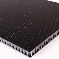 Holypan/Monopan Thermoplastic Sandwich Panel(id:7392873). Buy China ...