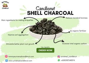 Wholesale evaporator: Candlenut Shell Charcoal