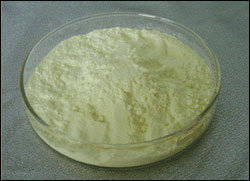 Wholesale nourish liver: Lyophilized Royal Jelly Powder
