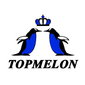 Topmeloncollection Company Logo