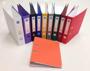 Wholesale File Folder: Recyclable Durable A4 Customized Box File for Office Stationery PP Lever Arch Plastic File Folder