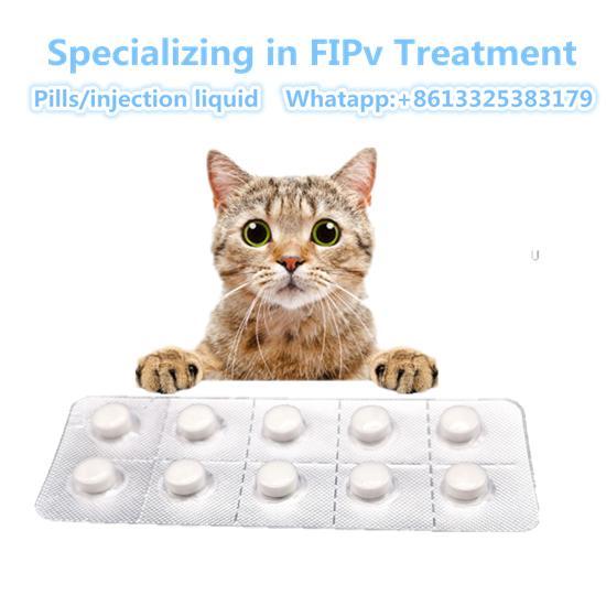 gabapentin cats fip
