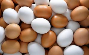 Wholesale organic chicken table eggs: Fresh Chicken Brown & White Table Eggs