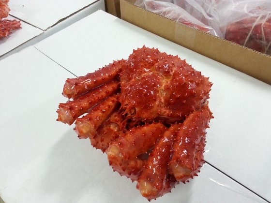 King Crab(id:6042102). Buy Chile King Crab, Crab - EC21