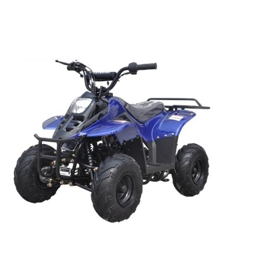 China Best 125CC QUAD BIKE, 2 Wheel ATV,2 Stroke Water Cooled,ATV for ...