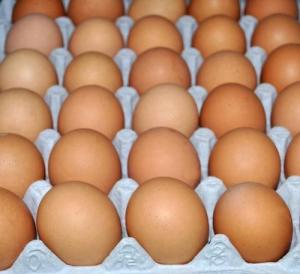 Wholesale Dairy: Wholesale Fresh Table Chicken Eggs-brown and White Table Eggs