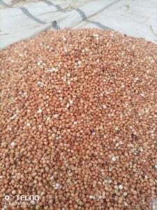 Wholesale industrial staple: Red Sorghum From Nigeria