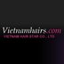 Vietnam Hair Star Co., Ltd Company Logo
