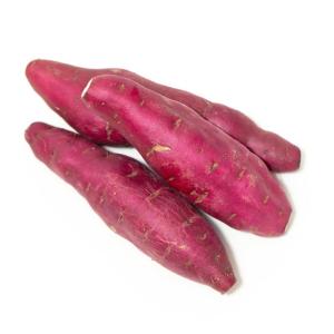 https://image.ec21.com/image/tranminhhoa2709/bimg_GC11411743_CA11411811/Japanese-Sweet-Potato-From-Vietnam.jpg