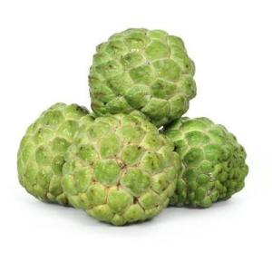 Wholesale apples: Vietnam Fresh Custard Apple for US, EU, ASIA Market with High Quality Product Best Price Ever