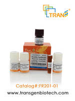 TransDetect Double-Luciferase Reporter Assay Kit
