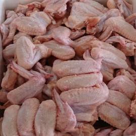 Wholesale Fresh Food: Grade A  Frozen Chicken Wings