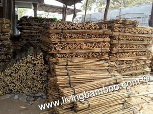 Wholesale bamboo stakes: Bamboo Poles for Argiculture