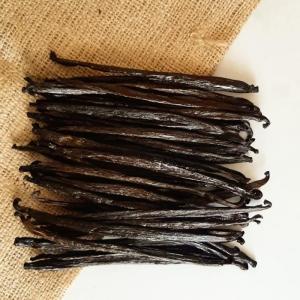 Wholesale Vanilla Beans: Vanilla Bean Gourmet Vanilla Tahitian/Planifolia Grade A/B