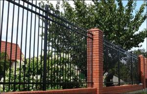 Wholesale Fencing & Edging: Powder Coated Galv. Steel Palisade Fence