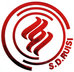 Shengdaruisi Leather Goods Co., Ltd Company Logo