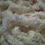 Wholesale Textile Waste: Cotton Yarn Waste