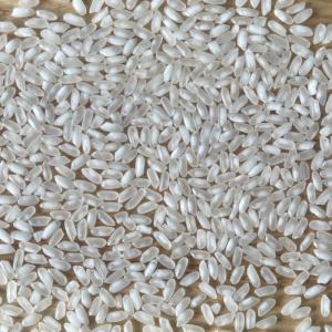 Wholesale vietnam rice: Vietnam Medium Grain Rice High Quality Whatsapp +84 982 069121