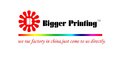 Bigger Printing Group.LTD Company Logo