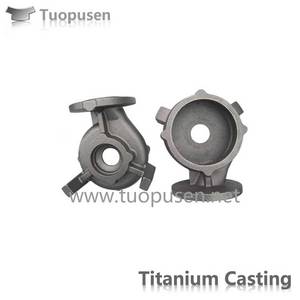 Wholesale custom phone case: Titanium Investment Cast