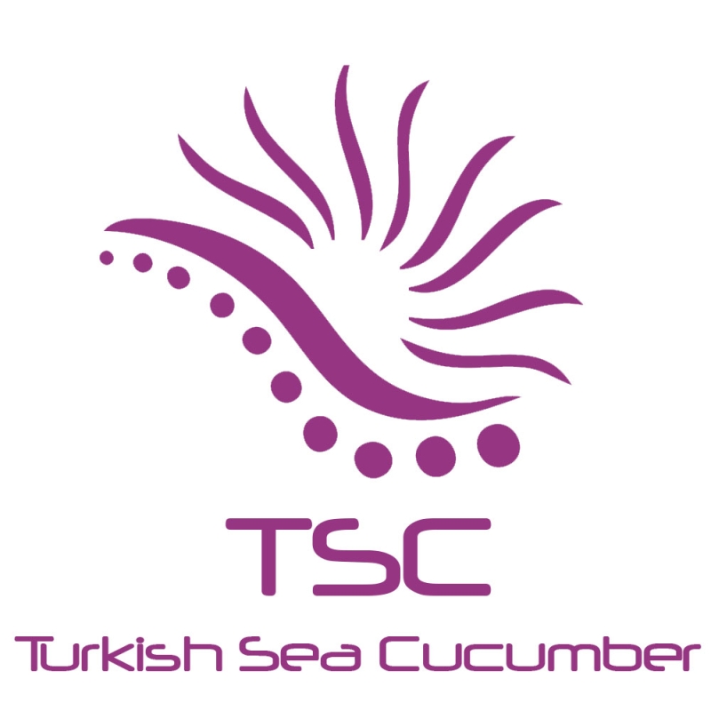 Turkish Sea Cucumber Dried Holothuria Tubulosa(id:10918685) Product ...