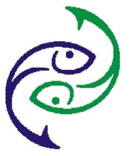 Tuty Enterprise Company Logo