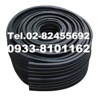 Water Stop, PVC Waterstop, Rubber Waterstop, Rubber Cushion, Rubber Sheet, Rubber Stop, Waterstopper 3