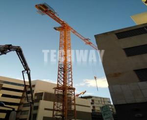 Wholesale flatting agent: Flat Top Tower Crane