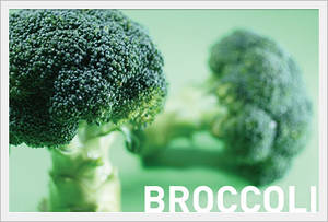 Wholesale broccoli: Broccoli (Fresh, Organic Broccoli)