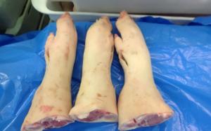 Wholesale carvings: Frozen Grade A Pork Feet and Hind