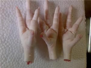Wholesale Meat & Poultry: Chicken Paws Wholesale Meat & Poultry: Chicken Paws