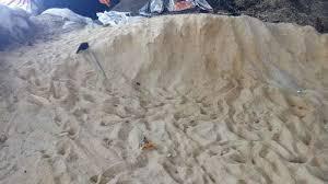 Wholesale moisture powder: Sawdust