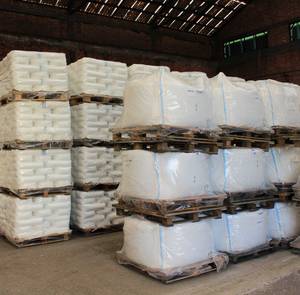 Wholesale pressed powder: Sodium Ascorbate (E301)