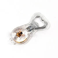 Horned Spider Amber Bottle Opener Real Insect Specimen 
