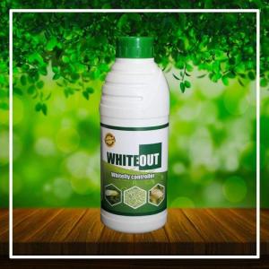 Wholesale extract supplier: Whiteout